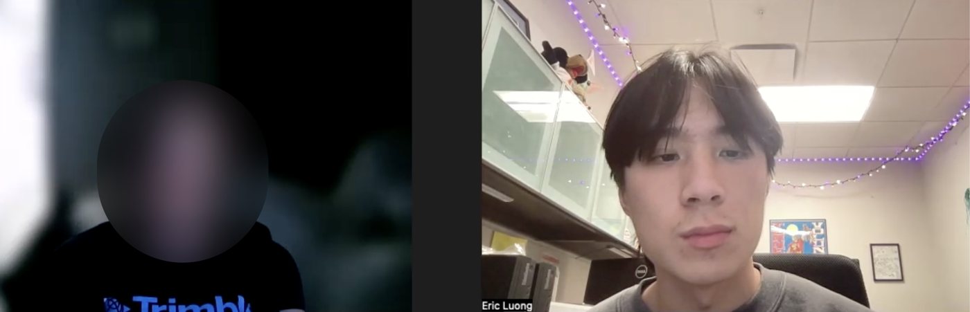 Video call screenshot from user interview 1, with the participant's face blurred