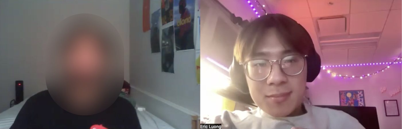 Video call screenshot from user interview 2, with the participant's face blurred